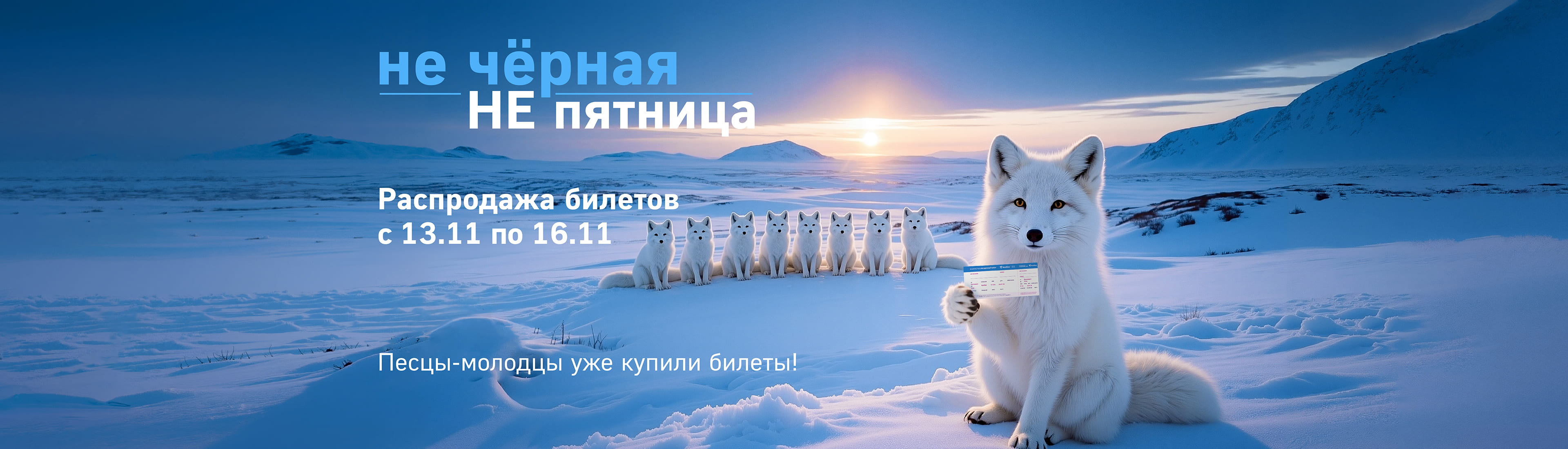 Поймай удачу за хвост! Распродажа авиакомпании NordStar