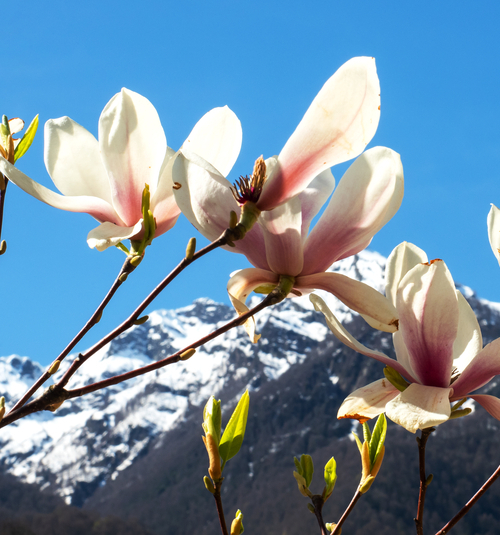 Минеральные Воды