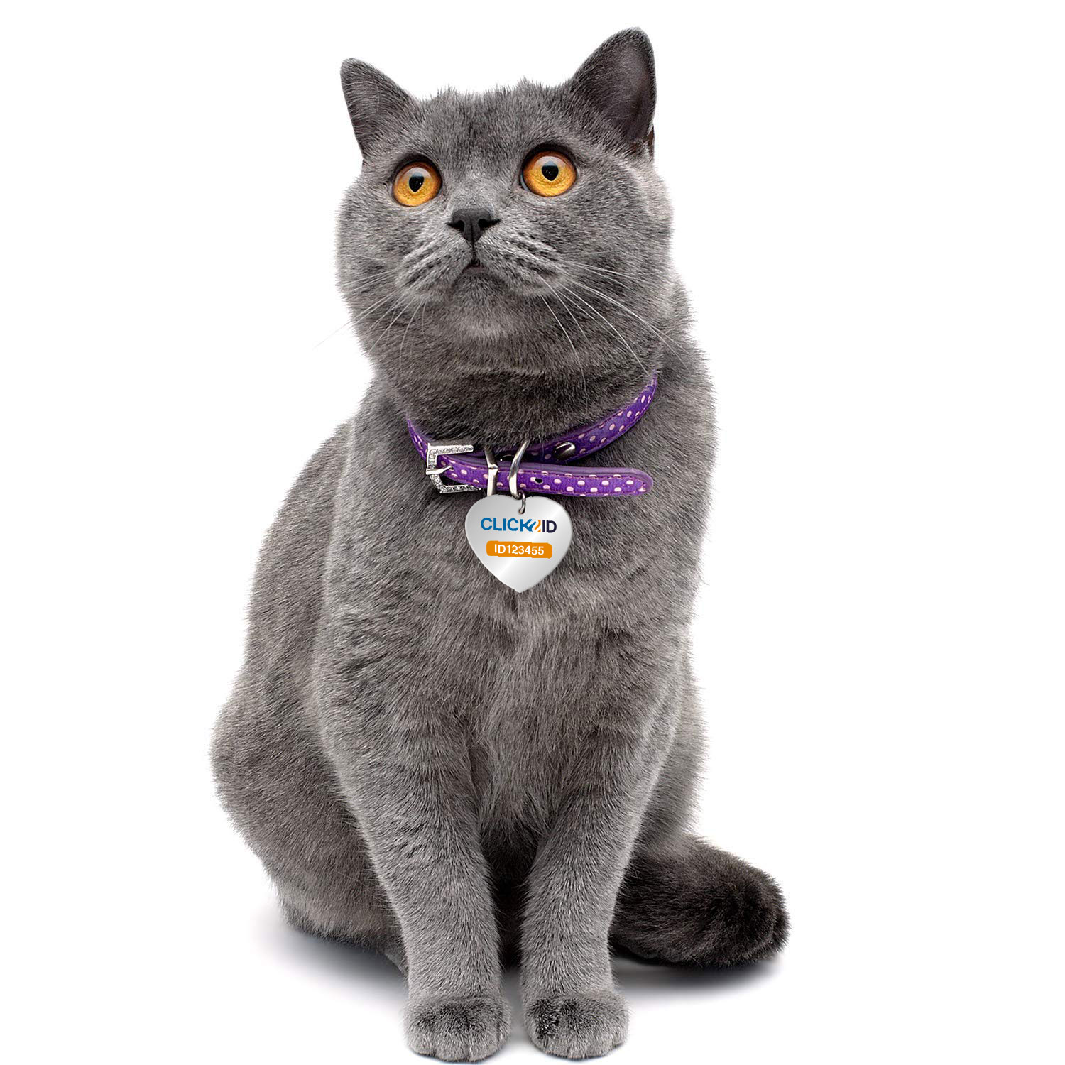 Кулон для животного