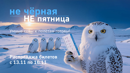 Держим курс на скидки - авиакомпания NordStar объявляет распродажу